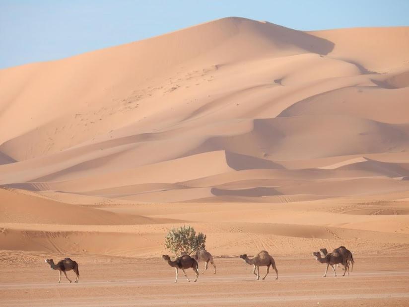 Auberge Sahara Garden Lac Yasmins Екстер'єр фото